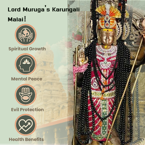 Karungali Malai Bracelet with Govt. Certification